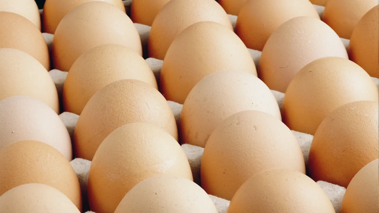 A sınıfı yumurtalarda 'tüketim tarihi' zorunluluğu... Türk Gıda Kodeksi Yumurta Tebliği'nde değişiklik