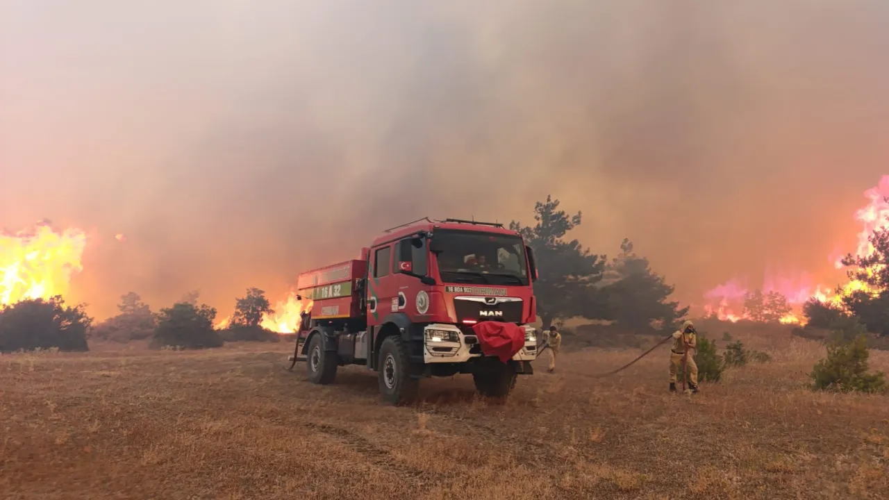 Bakan Yerlikaya'dan 5 günlük yangın raporu: 7 gözaltı, 3 tutuklama