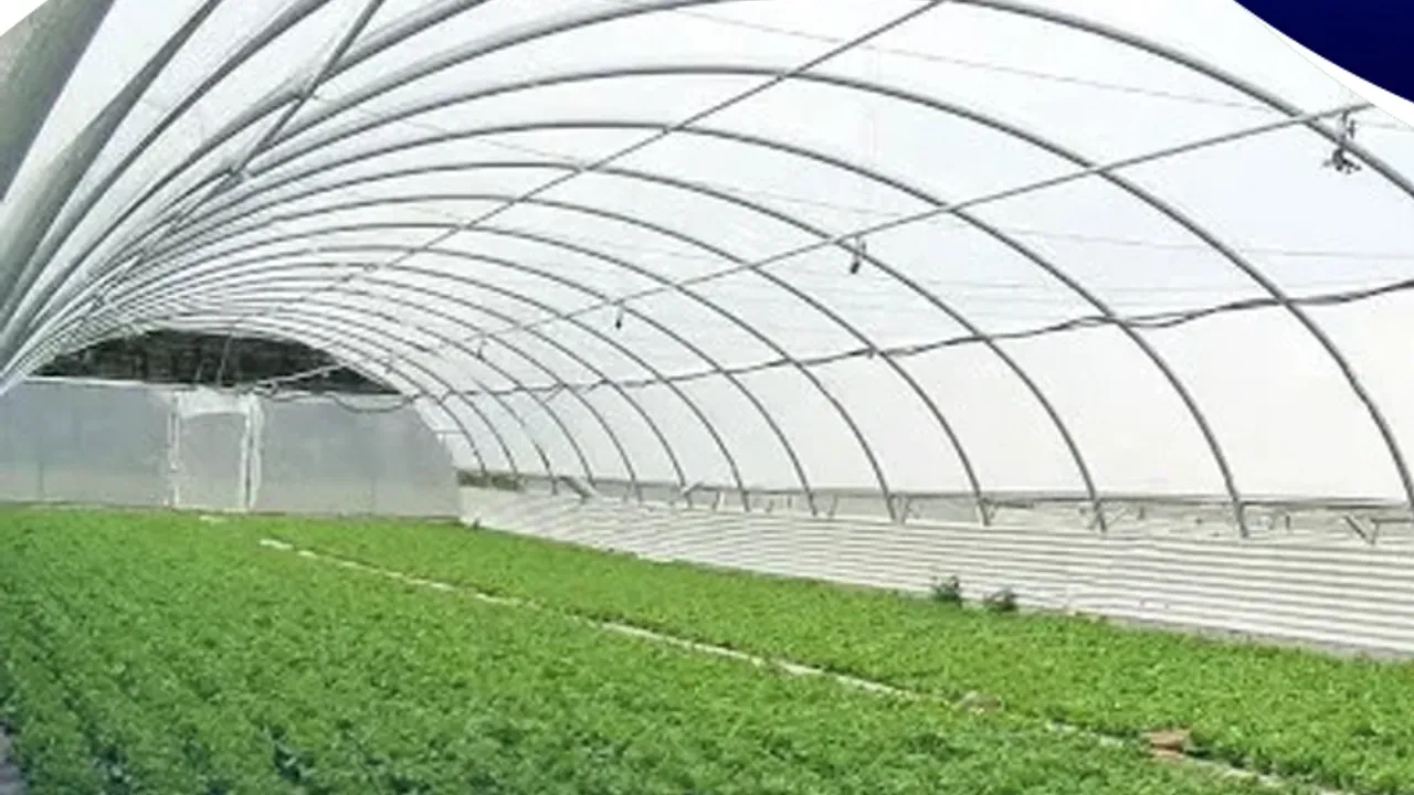 KOP destekli seracılık projesi Selçuklu’da hayata geçiyor