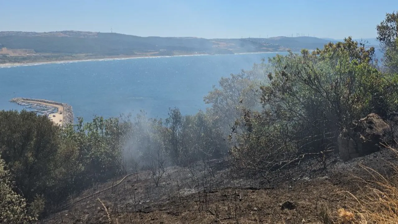 Mudanya kırsalında yangın! Buğday tarlası son anda kurtarıldı