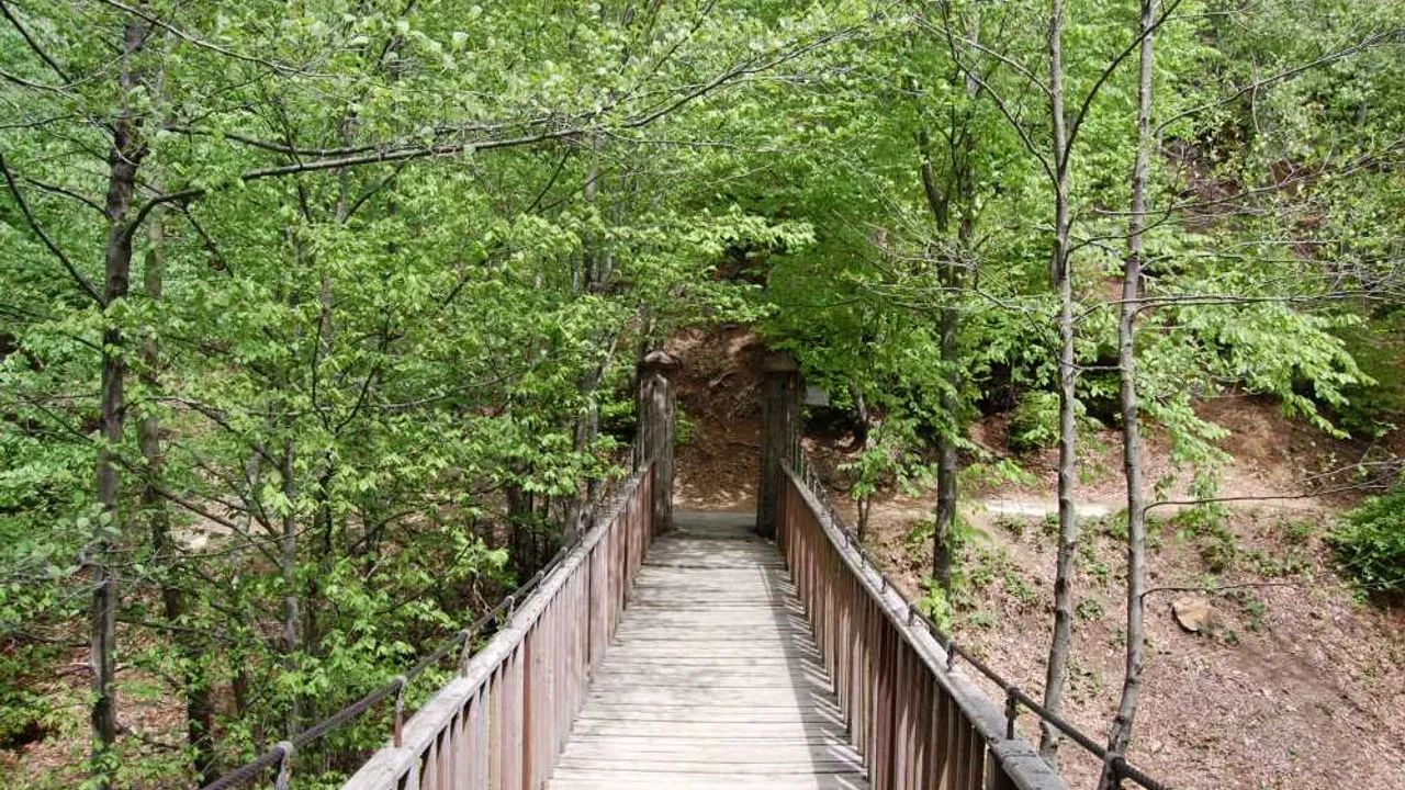 Yalova Valiliği ikinci bir emre kadar yasakladı!