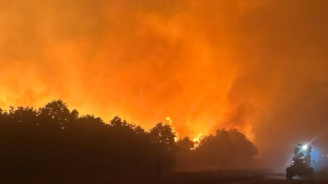 Enez’deki orman yangını kontrol altına alındı