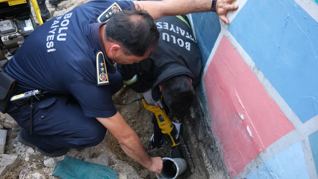 İtfaiyeden kedi kurtarma operasyonu