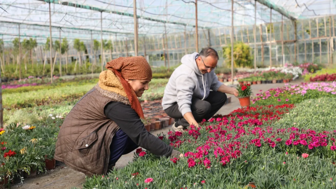 Muğla'da kadın emeğiyle çiçek devrimi... 27 milyon çiçek, 23 milyon tasarruf