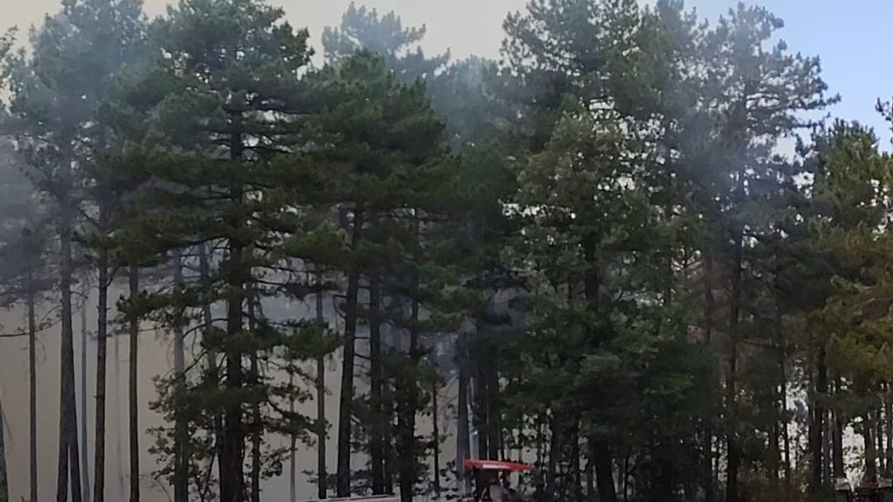 Denizli Honaz’da orman yangını çıktı, müdahale sürüyor