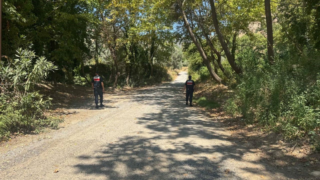 Jandarma Aydın ormanlarını gözetim altına aldı