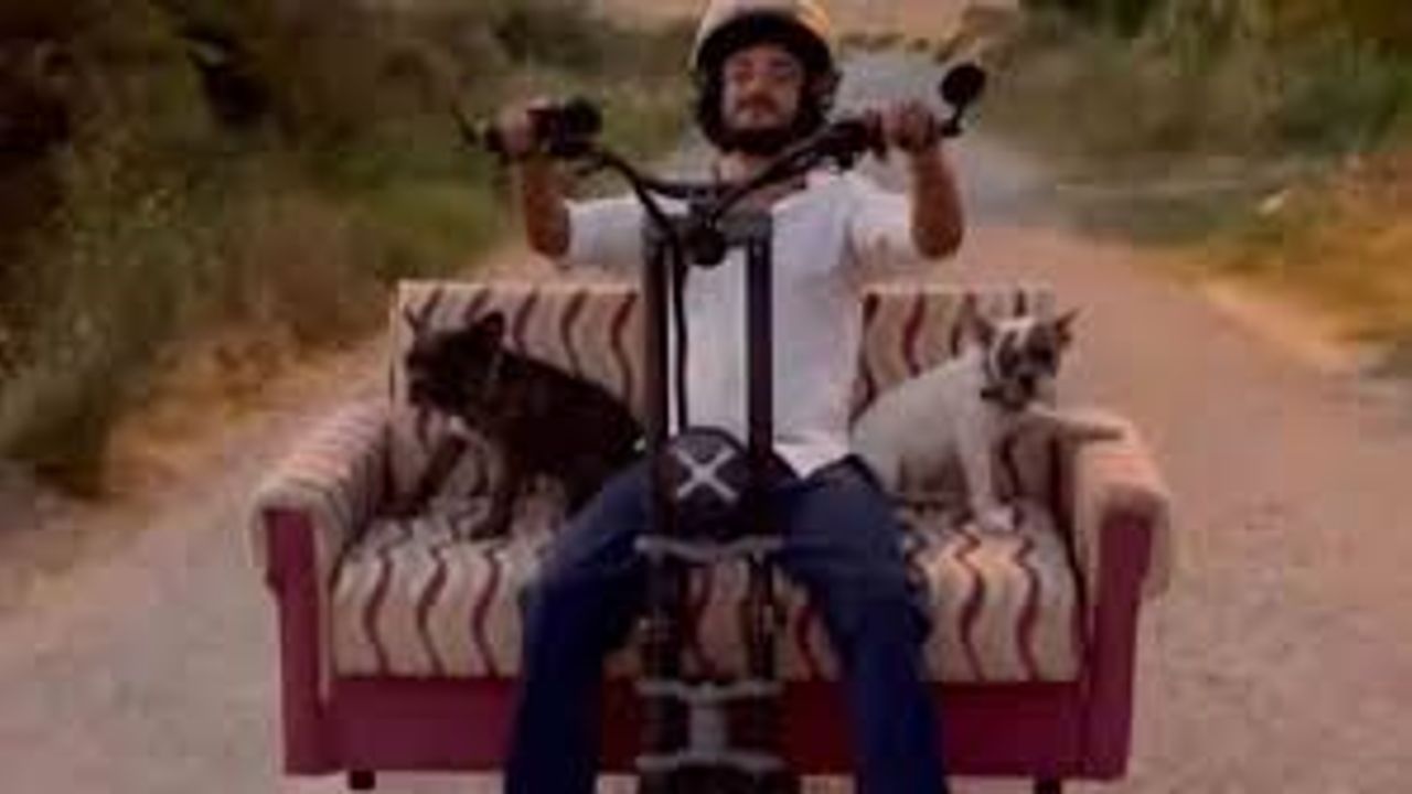 Scootere koltuk monte edip, köpekleriyle yolculuk yaptı