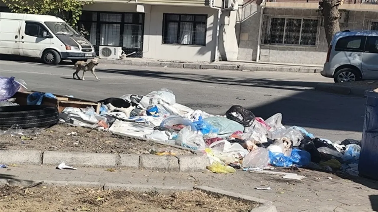 İzmir Buca’da çöp krizi! Mahalleler çöplüğe döndü, vatandaşlar isyanda
