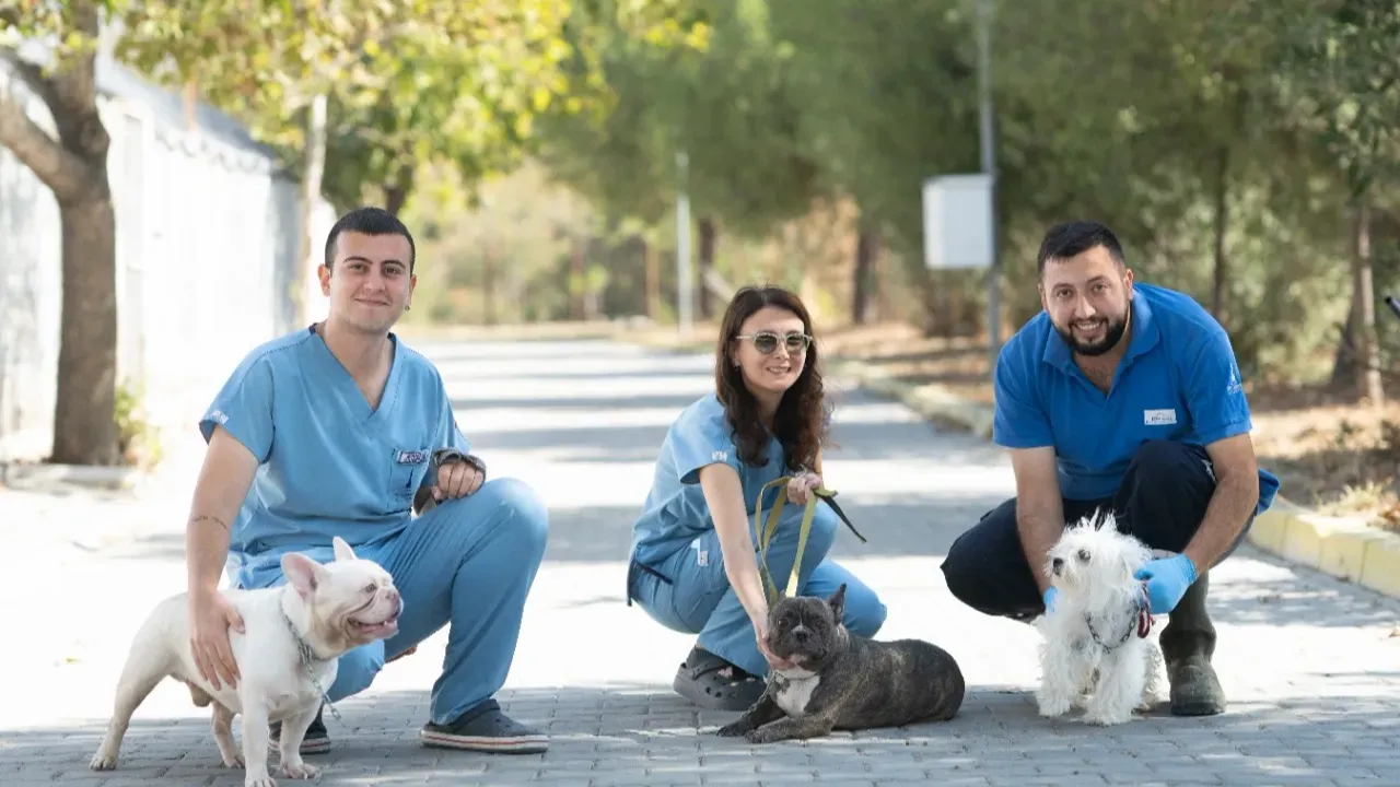 İzmir’de el konulan 20 cins köpek sahiplendirilecek