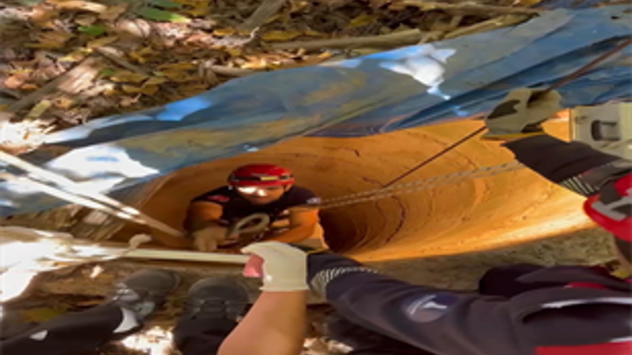 2 metrelik kuyudan itfaiyenin müdahalesiyle kurtarıldı