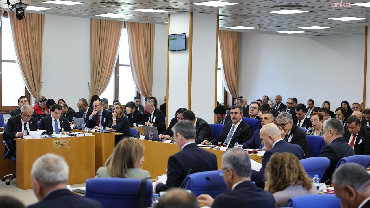 TBMM Plan ve Bütçe Komisyonu toplantısı gerçekleştirildi
