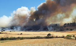 Çanakkale’de orman yangını