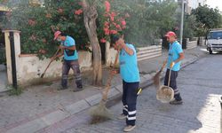 Efeler'in mahallelerinde temizlik seferberliği devam ediyor