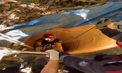 2 metrelik kuyudan itfaiyenin müdahalesiyle kurtarıldı