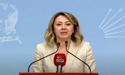 CHP'li Çiftci'den Yargıtay Başkanına tepki!
