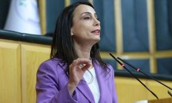 DEM Parti'den LGBTİ düzenlemesine tepki