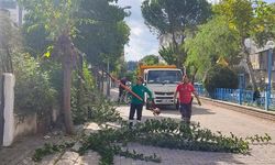 Efeler Belediyesi'nden vatandaşlara önemli uyarı
