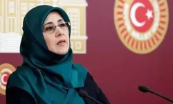 Eski HDP milletvekili cezaevine giricek