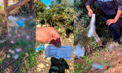 Çevreyi kirleten firmalara ceza yağdı