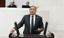 CHP'li Torun'dan Ferrero'ya tepki