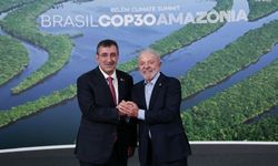 Cumhurbaşkanı Yardımcısı Brezilya Devlet Başkanı ile görüştü