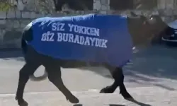 Güzelbahçe'de manda protestosu