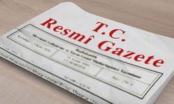 Kadına Yönelik Şiddetle Mücadele resmi gazetede