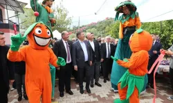 Menderes'te mandalina festivali başlıyor