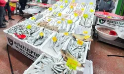 Balık sezonu geç başladı