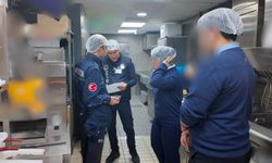 Bodrum'da halk sağlığı için sıkı denetimler sürüyor