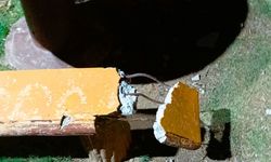 Efeler'in parklarına zarar verenler tespit edilecek