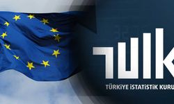 TÜİK'in yeni AB uyumlu enflasyon hesabı geliyor