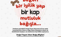 Turgutlu Belediyesinden sahipsiz dostlar için anlamlı kampanya