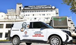 Ulu çınarların tamirat derdine son