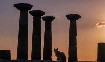 Bornova’da “Müzede An” fotoğraf yarışması sonuçlandı