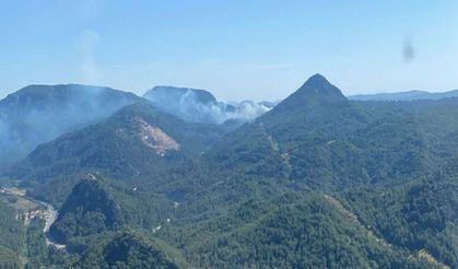 Marmaris'te orman yangını