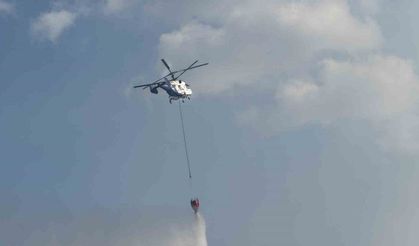 Taraklı’daki orman yangınına ilişkin gözaltına alınanlar serbest bırakıldı