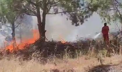 Bursa’da ağaçlık alanda çıkan yangına müdahale ediliyor
