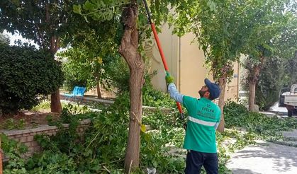 EFELER'DE YAZ TEMİZLİĞİ HIZ KESMİYOR: VATANDAŞLARDAN BAŞKAN YETİŞKİN'E TEŞEKKÜR