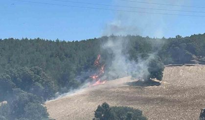 Gediz’de ekiplerin orman yangınıyla mücadelesi sürüyor
