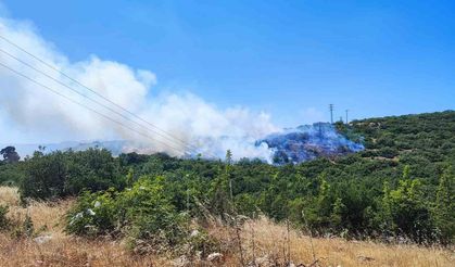 İnegöl’deki orman yangını kontrol altına alındı