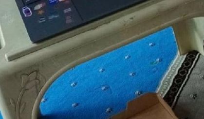 Kız yurdunda pornografik film açıp sosyal medyada paylaştılar