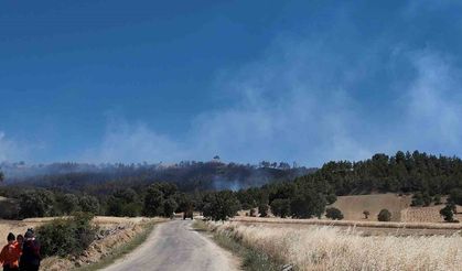 Kütahya’daki orman yangınınnı söndürme çalışmaları devam ediyor