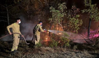 Orman yangını kabusunun ikinci günü: Ekipler çalışmalarına hız verdi