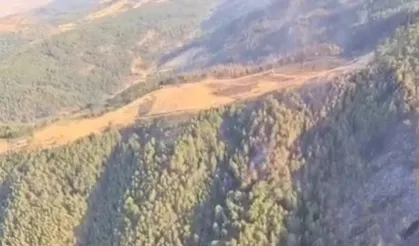 Uşak ve Bilecik’te yangınlar kontrol altında...