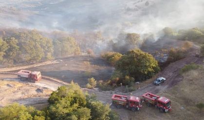 Balıkesir’deki orman yangını kontrol altına alındı