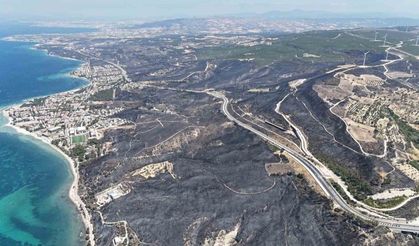 Denize sıfır orman yangını... Otellik yangınlar