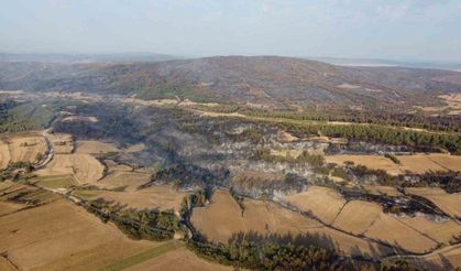 Gelibolu’dan yürek yakan görüntü