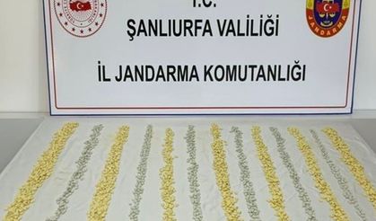 MİT tespit etti, jandarma operasyon düzenledi