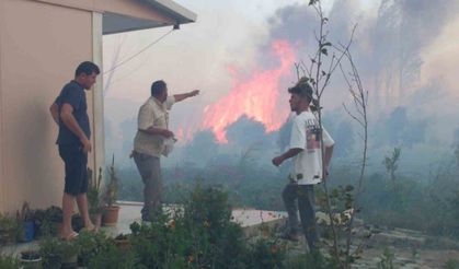 Sazlık yangını 995 haneli siteyi duman altından bıraktı